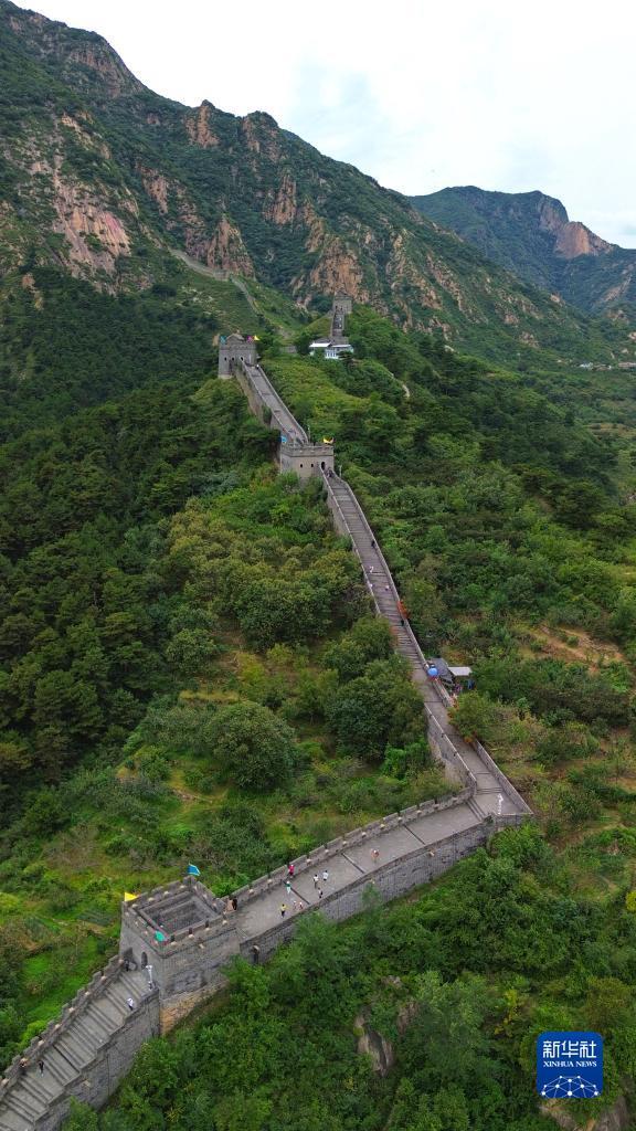 新启旺二维码